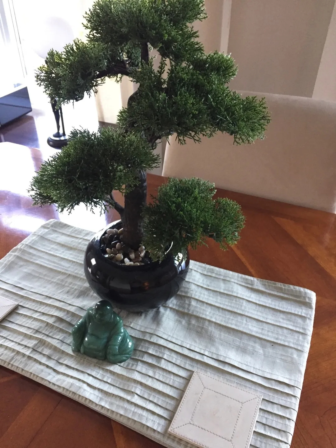 ミヤマビャクシン（深山柏槇）の判定方法 (Juniperus chinensis var. sargentii)