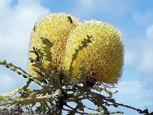 71rqqjgxkxweem 71rqqjgxkxweem