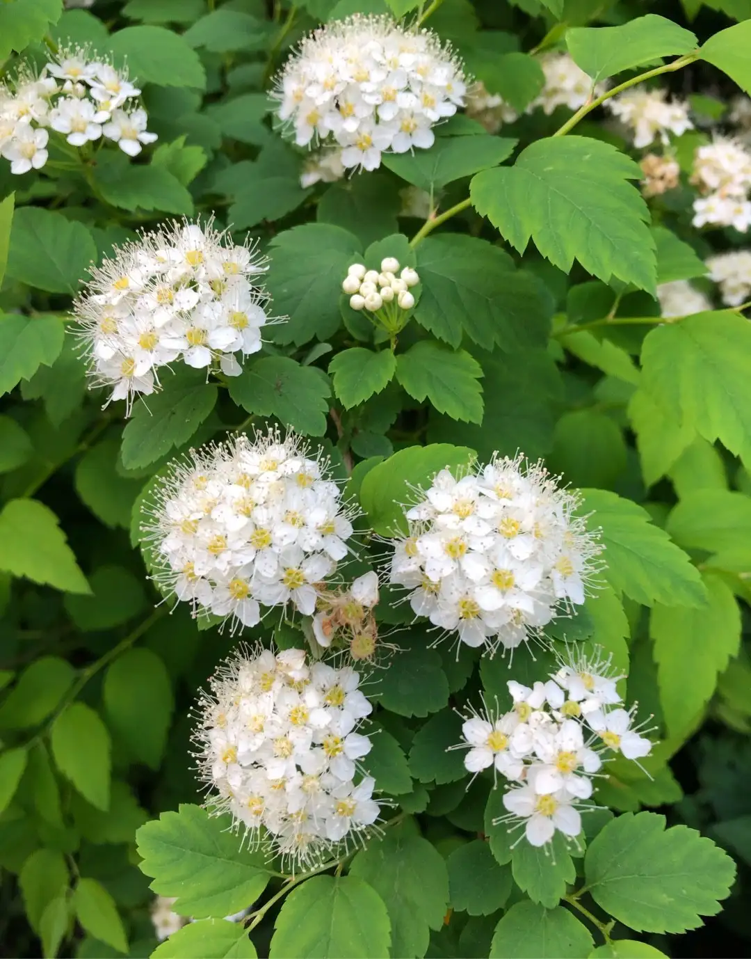 Место посадки