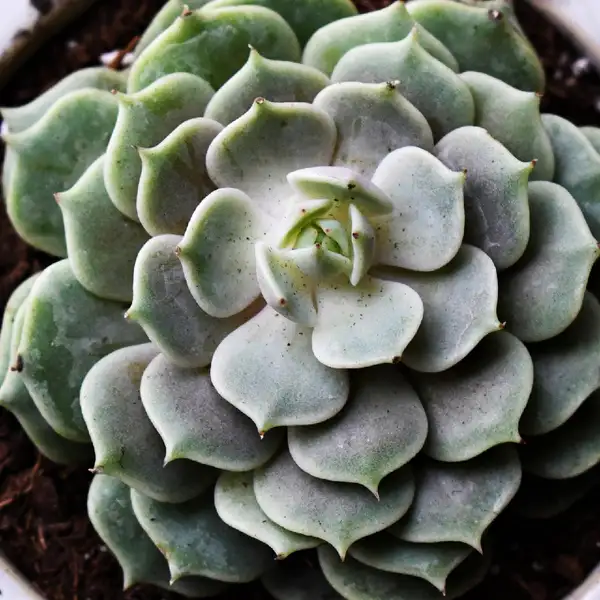 B Wwtx5iheccxm B Wwtx5iheccxm