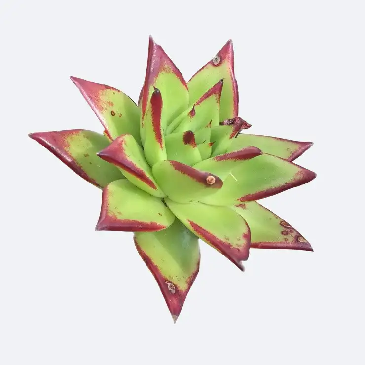 Kggbgbwmg4at9m Kggbgbwmg4at9m