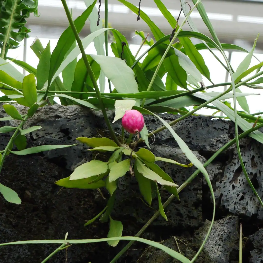 Jp9yqkvnoyexwm Jp9yqkvnoyexwm