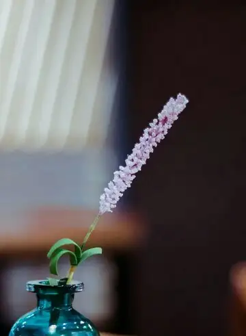 TÌNH YÊU CÂY CỎ ĐV 10 - Page 9 Resize,l_600&v=1