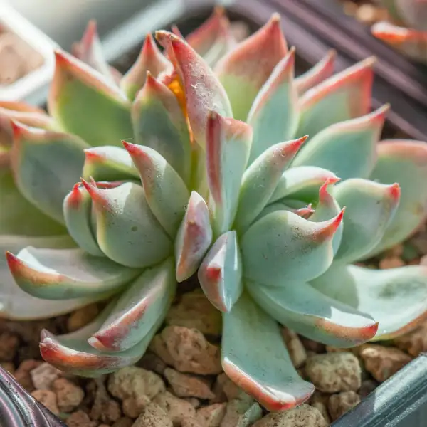 Uutn Hqmz12jzm Uutn Hqmz12jzm