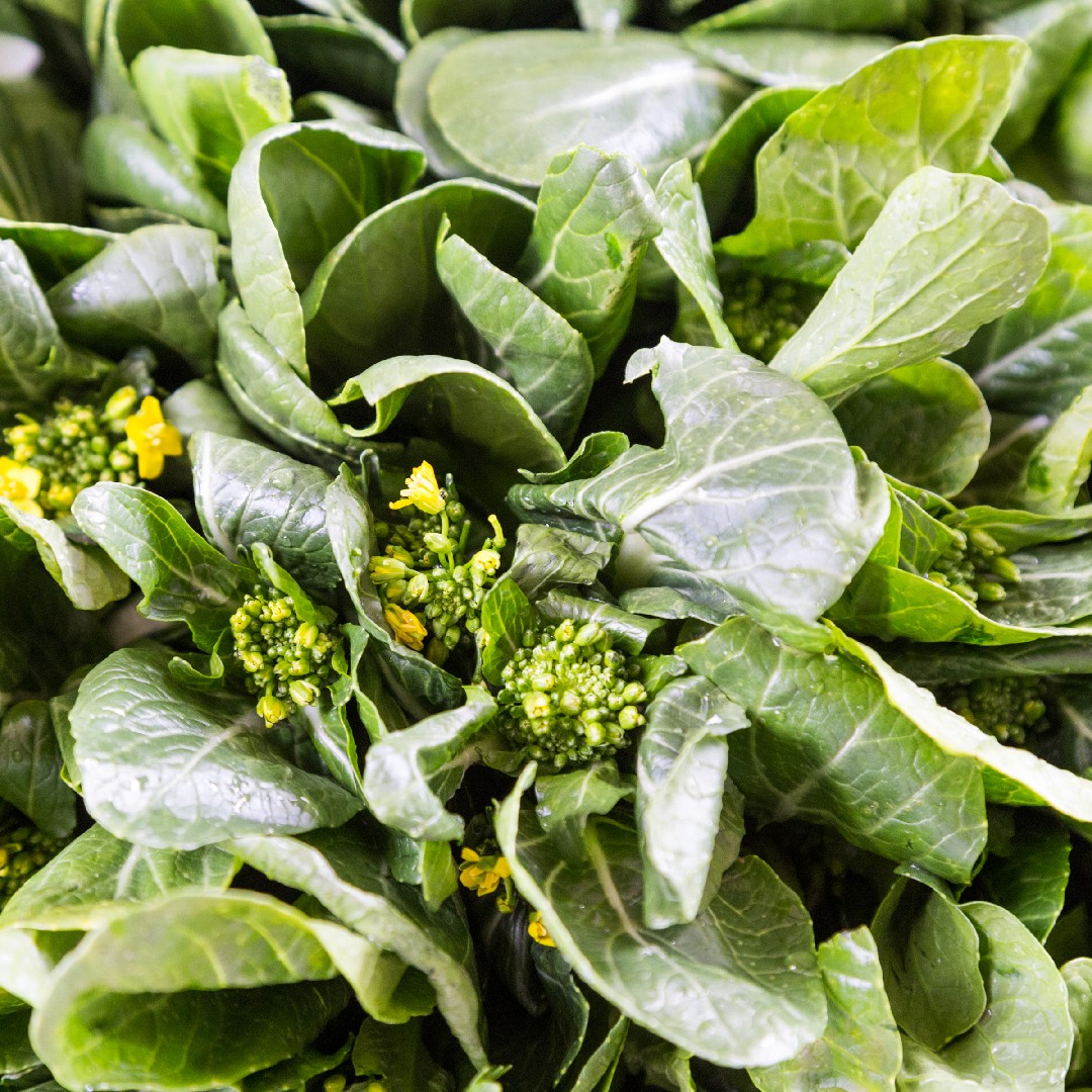 Brassica rapa var. parachinensis - PictureThis