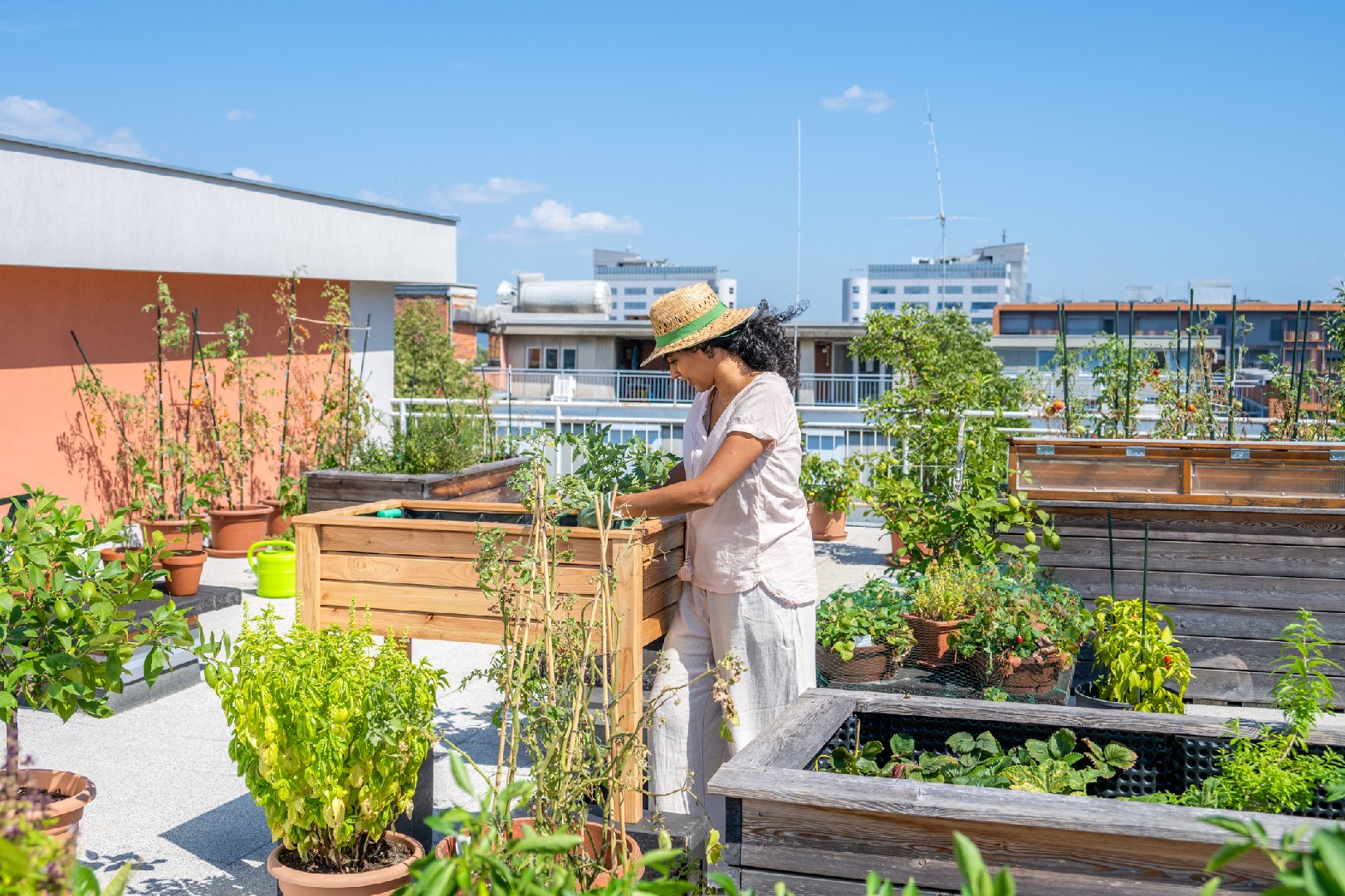 Elevate Your Garden Design Literally How To Plan And Create Green Roof