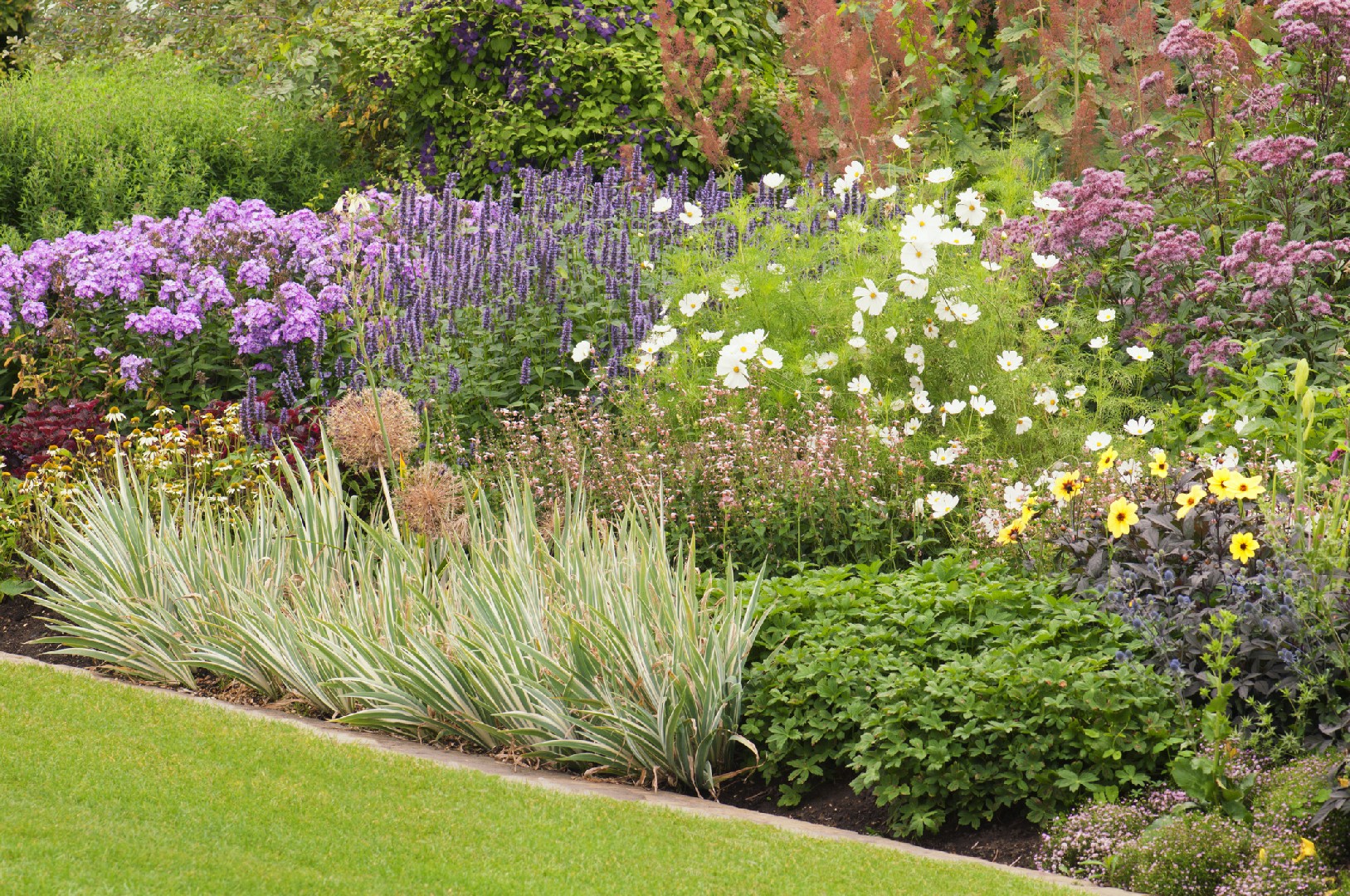 How to Enhance Your Garden's Appeal: A Guide to Seasonal Texture Garden ...