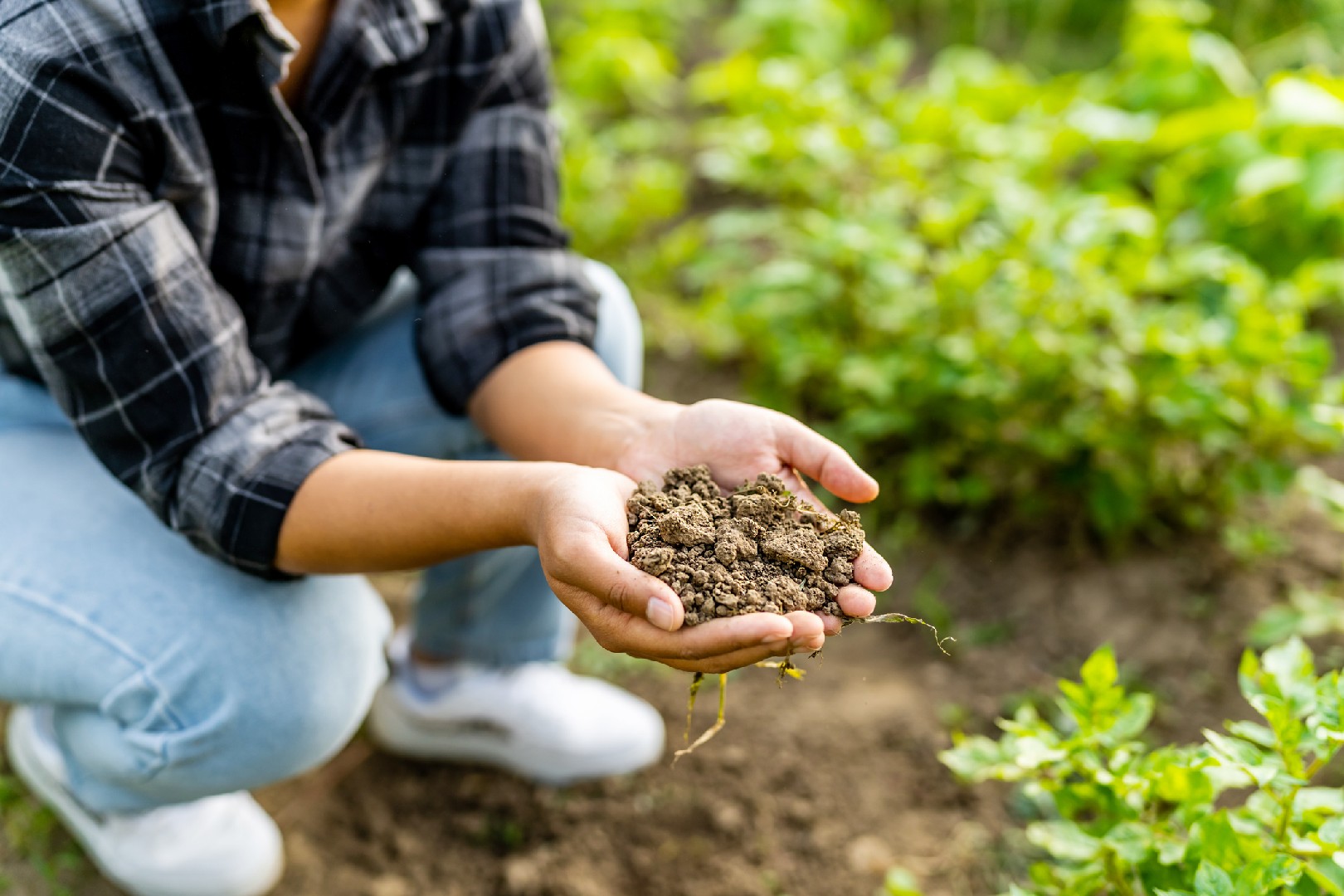 Revive Your Garden: How to Boost Soil Health with Effective Soil Amendments