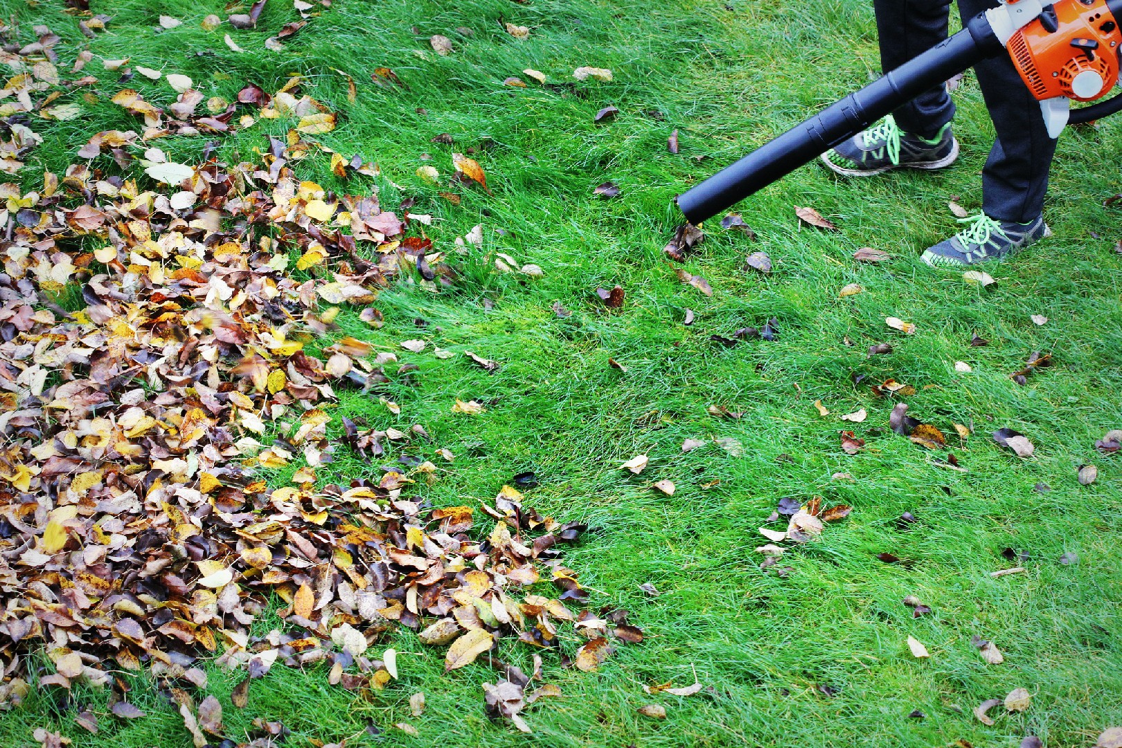 Prepare and Maintain Lawn for Winter Dormancy